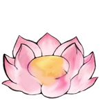 盛开的仙莲